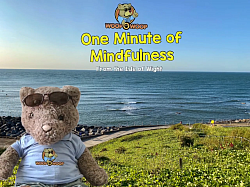 One Minute of Mindfulness, Ventnor, Isle of Wight, Woop Woop